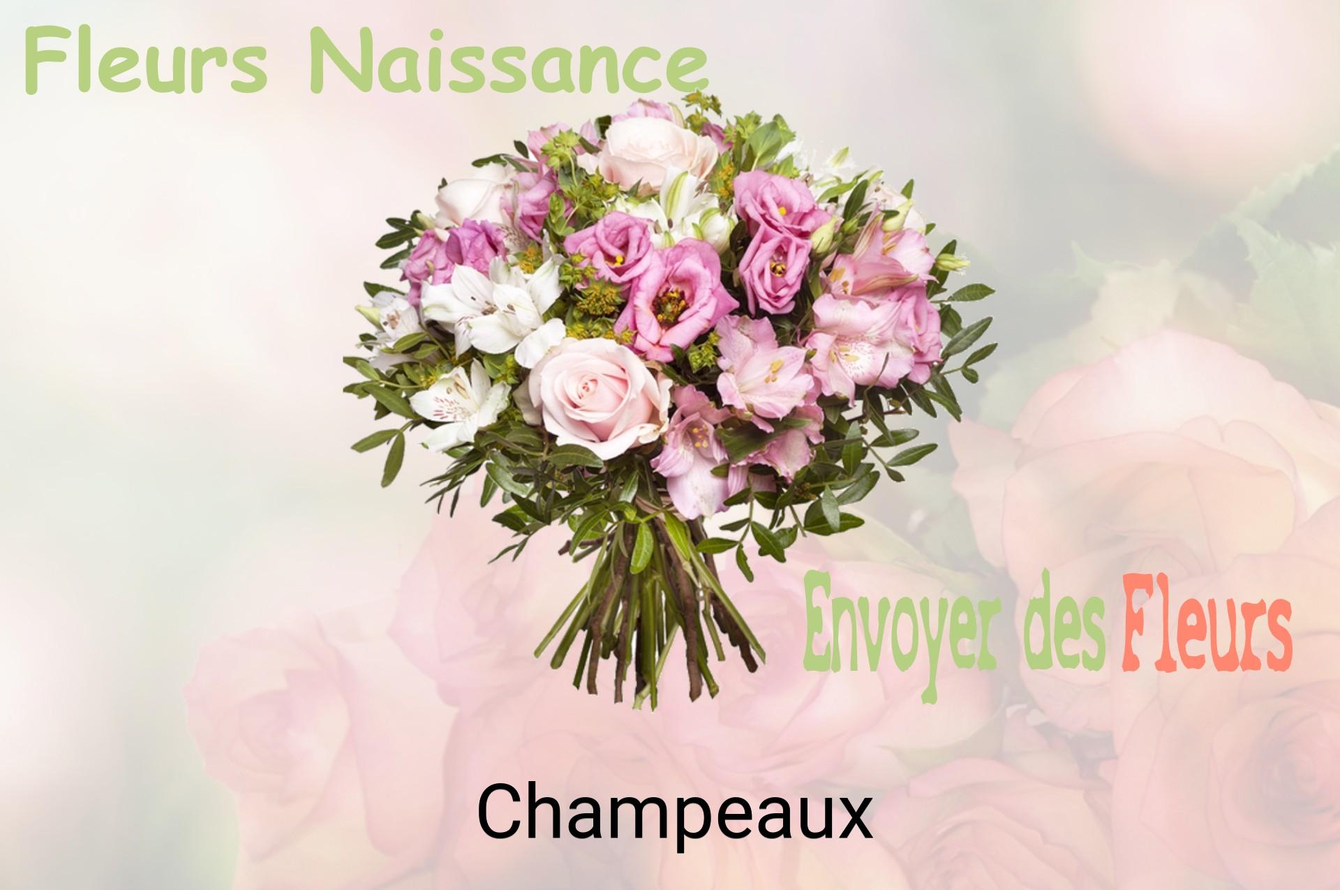 Bouquet de fleurs de naissance livré à Champeaux