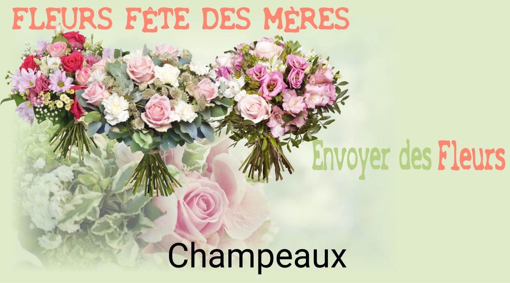 Bouquet de Fête des Mères livré à Champeaux